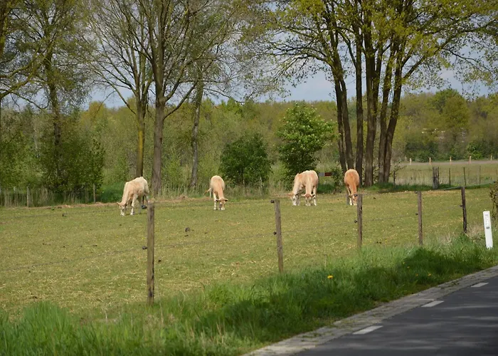 In Near Nature Дом отдыха *